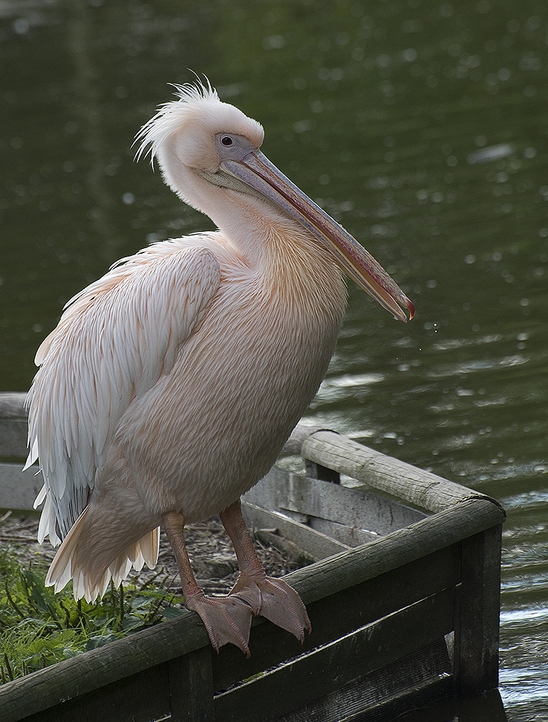 Schleswig Holstein Ostsee 09_2015 KA7_4927 als Smartobjekt-1 Kopie.jpg